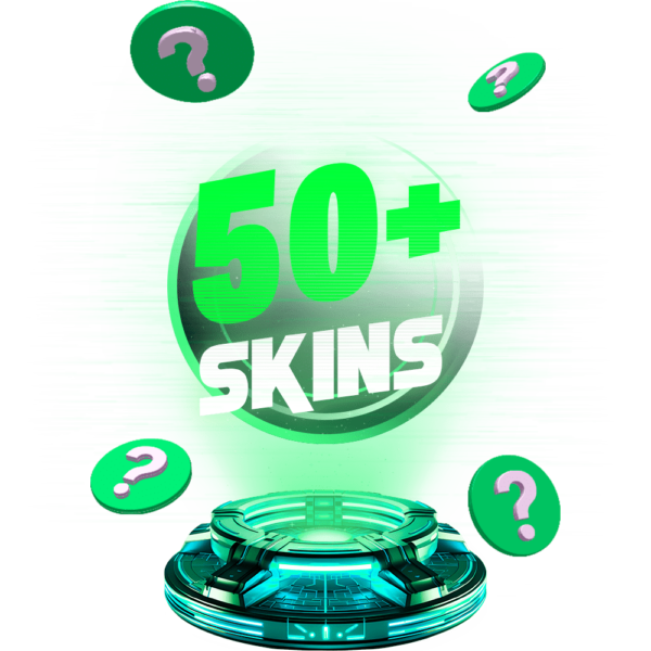 Fortnite Random Skins + 50 skins